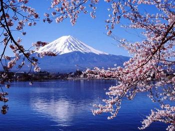 富士山。7f5829c7.jpg
